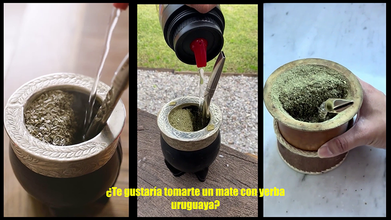 Yerba Mate (PERI)